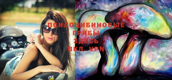 метадон Дмитриев