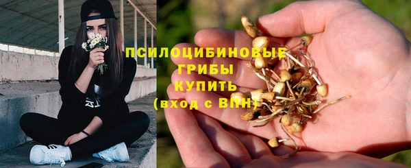 синтетический гашиш Дмитров