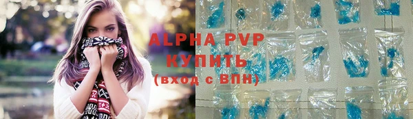 стаф Дмитровск