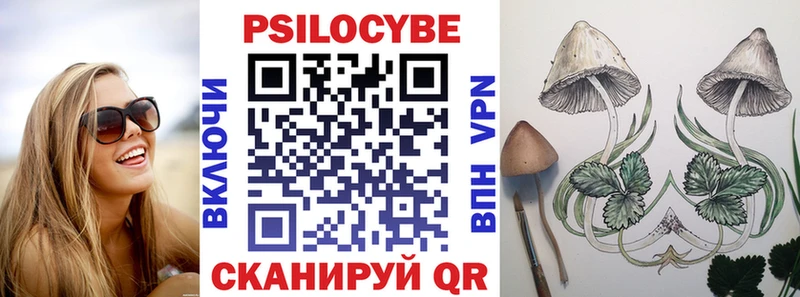 Галлюциногенные грибы MAGIC MUSHROOMS  Купить где  Каргат 