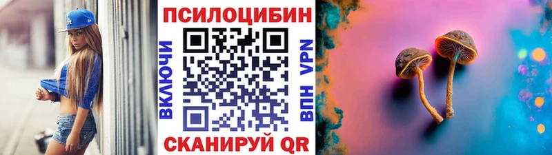 Псилоцибиновые грибы мицелий Каргат